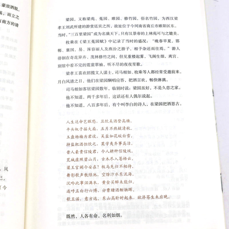 【3册】王维传+李白传+杜甫传 唐朝时期著名诗人传记书籍李太白集诗集诗传