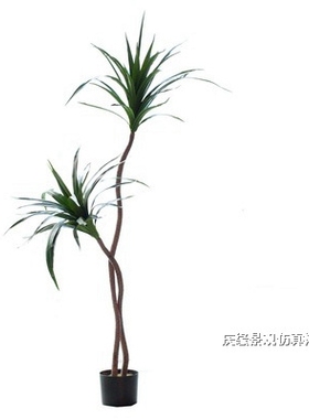 仿真树巴西木室内外仿真树巴西铁2杆3杆4杆1.5米2.2米1.8米
