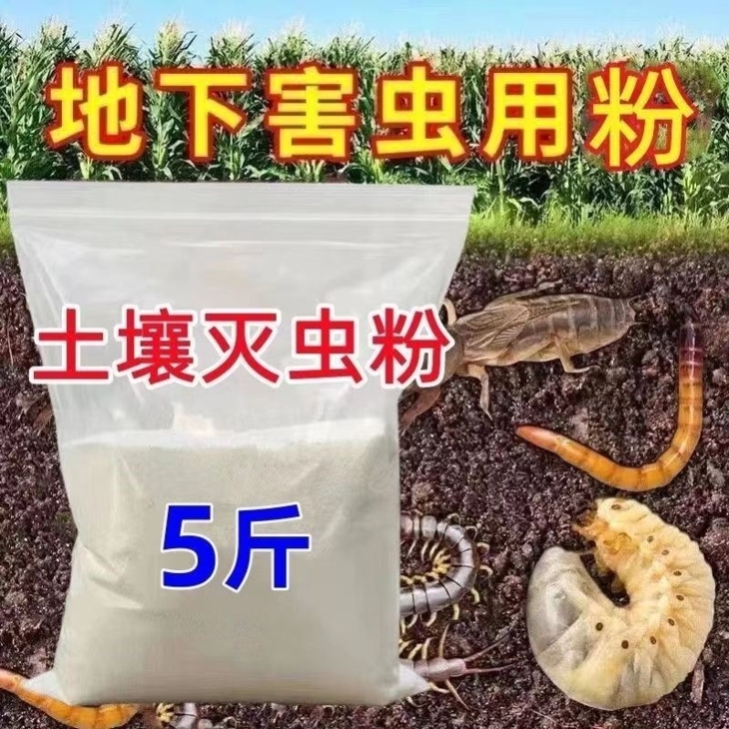 【土壤灭虫粉】地下害虫蛴螬根蛆蝼蛄潮虫蜈蚣爬虫菜地通用颗粒剂-图2