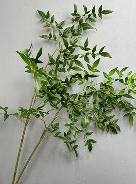 仿真手感南天竹假花绿植天葵竹