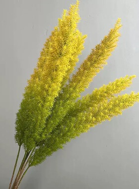 仿真花长枝狐尾天门冬塑料花松针