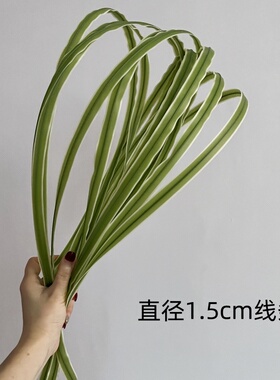 禹涵插花配材软胶扁线条钢草蒲草