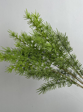 把束松针仿真森系绿植家居装饰新中式摆件南洋松莫奈花园风绿植