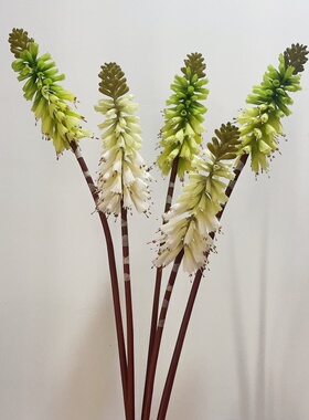 火炬花仿真花束火把莲假花红火棒