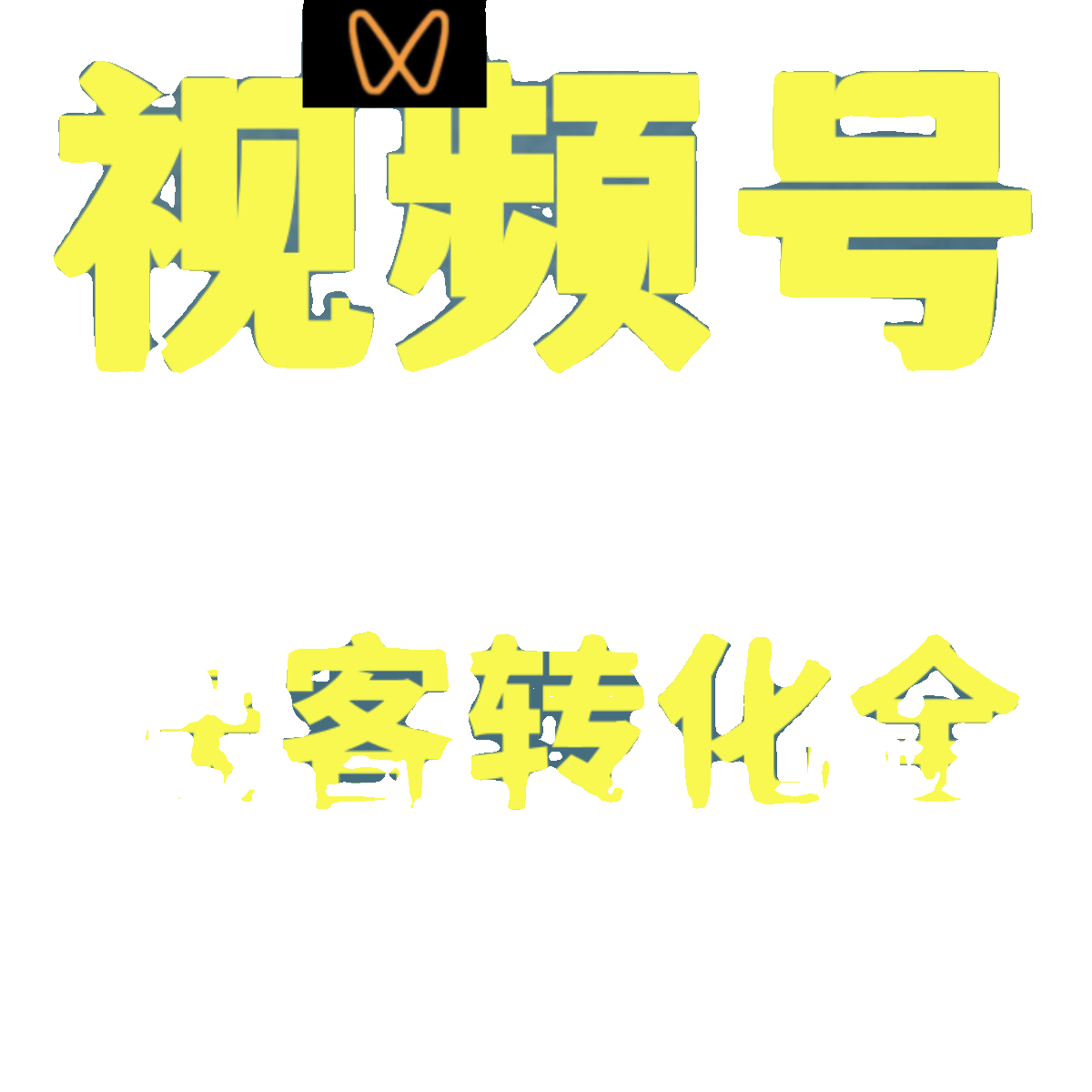 视频号获客转化全攻略从入门到精通运营底层逻辑商业模式案例拆解 - 图0