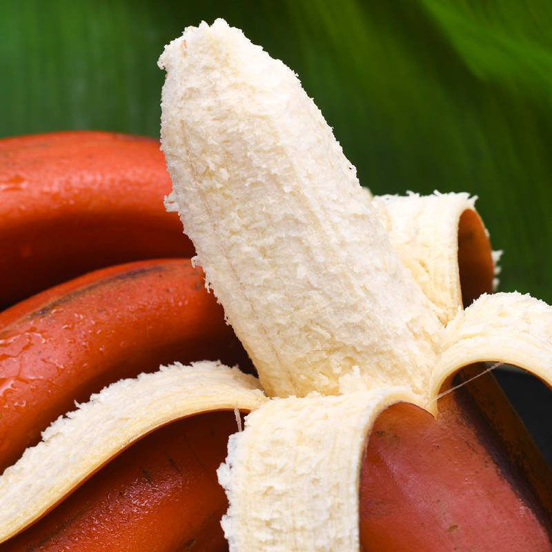 海南红皮香蕉红美人香蕉9斤整箱新鲜现摘小米蕉芭当季水果小香蕉-图1