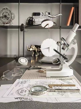 现代简约样板间书房干花标本手工摆件显微镜放大镜客厅桌面装饰品