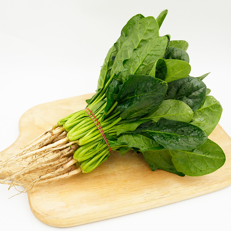 菠菜1-5斤 新鲜采摘时令农家蔬菜火锅食材大叶菠菜红根赤根波斯菜 - 图0