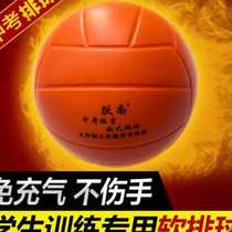 No. 5 Inflatable Soft Volleyball for training primary and middle school students race Special soft discharge sponge soft beach ball