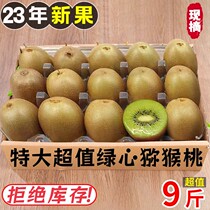 Shaanxi Eyebrow County Xu Fragrant Kiwi Fruits Peach Fruit Fresh When Season Full Box 5 Cati Positive Mass Monkey Peach Green Heart Chic Exotic Fruits