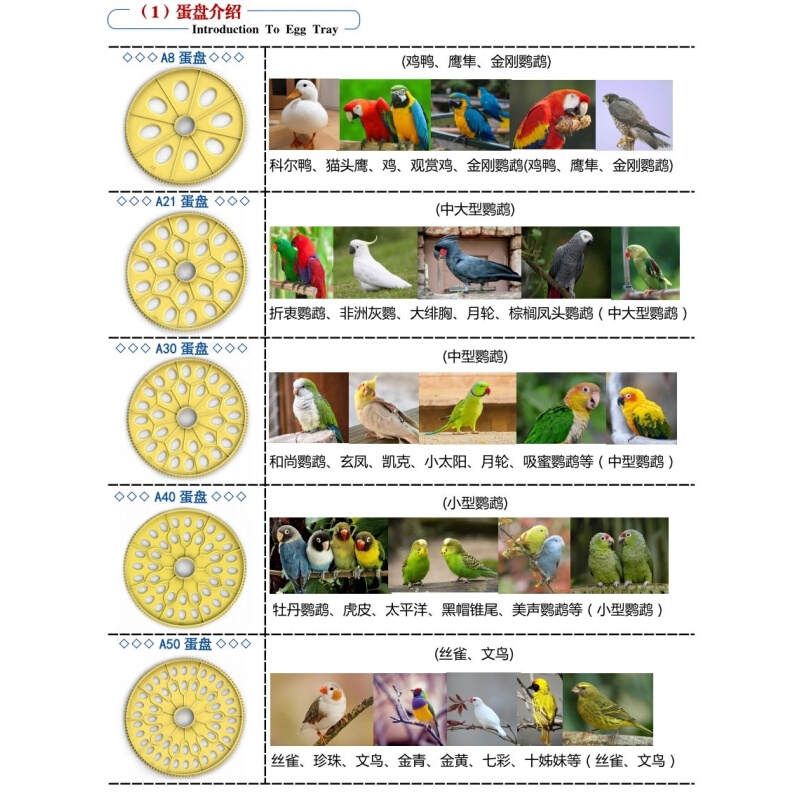 MACAUHD全自动高精度澳门A8孵化器家用小型鹦鹉鸟类蛋恒温育雏箱-图1