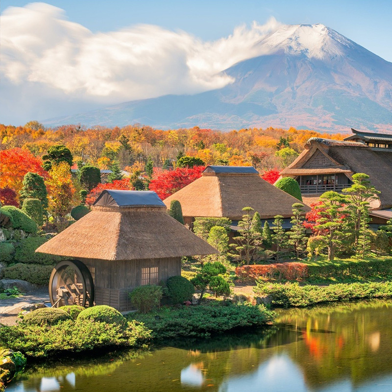 日本自由行大连/沈阳/直飞东京/名古屋6天~8天旅游机+签-图1