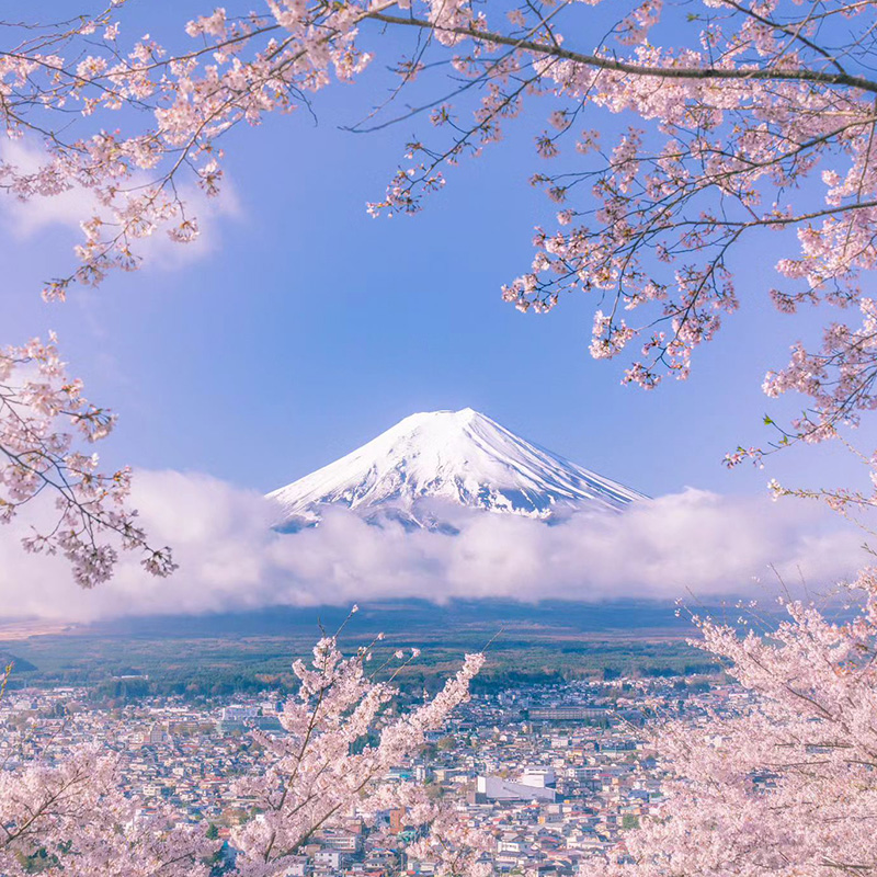 日本自由行大连/沈阳/直飞东京6天~8天旅游机票+团签日本旅游-图0