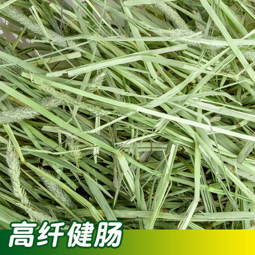 兔草提摩西草干草晒干北提草兔子粮龙猫荷兰猪草饲料粮食加提进口 - 图0