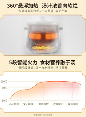 天际电砂锅2/3L煮粥煲汤锅BB煲汤