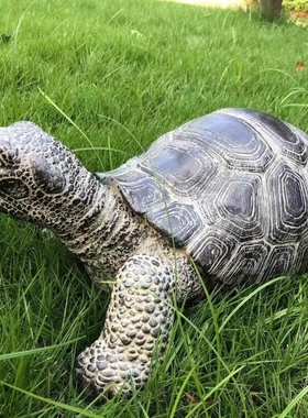 仿古招财大乌龟摆件温馨灵动家居庭院花园鱼池园艺造景合成石材
