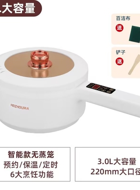 多功能料理电煮锅家用宿舍小型蒸