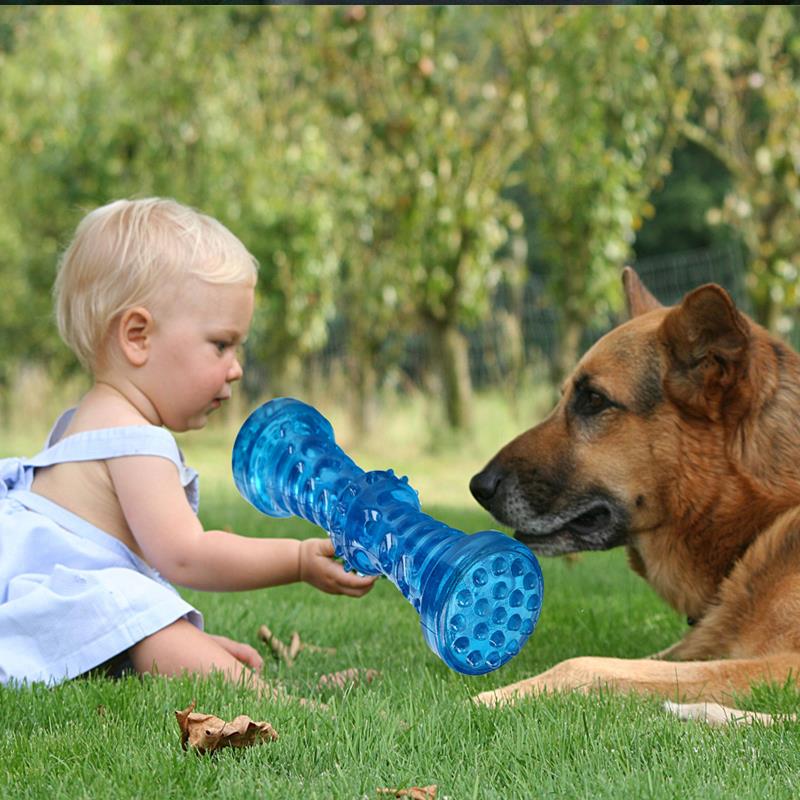 Dog Toothbrush Bone Sturdy Dog Toy Interactive Puppy Game To - 图2