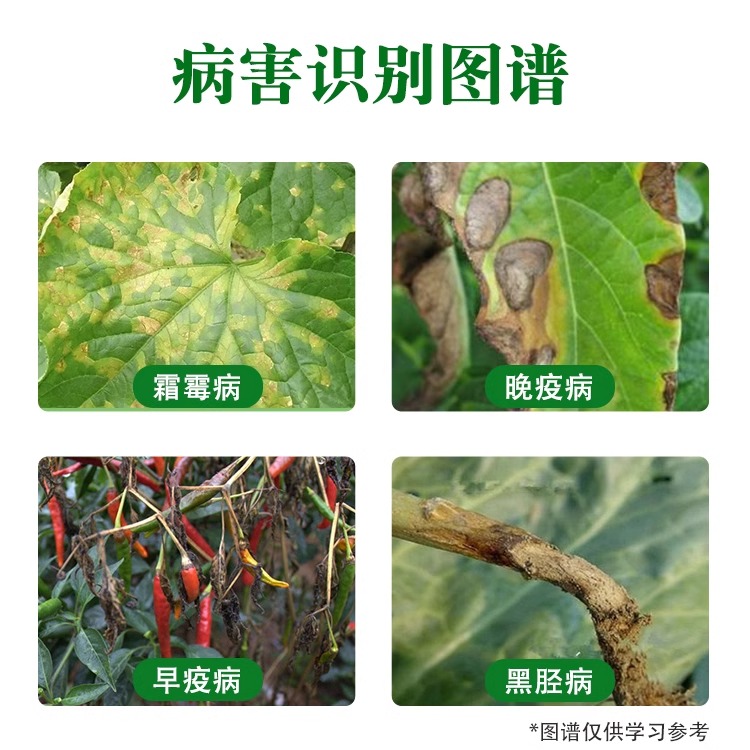 80%烯酰吗啉 蔬菜果树黄瓜葡萄霜霉病黑胫病早晚疫病农药杀菌剂 - 图0