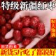 新疆红枣枣子和田大红枣特大干果零食特级官方店优质大颗