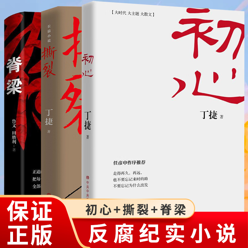 【3册】脊梁+初心+撕裂  纪委书记笔下的反腐纪实文学，正部级落马高官口述实录 - 图0