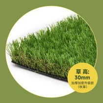 Co-Building Lawn Co-Building Artificial Lawn Rug Emulation Turf Kindergarten Gym Gym Yard School Football Pitch Fake