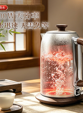 110V纯钛电水壶美规2升大容量保温烧水壶冰花结晶泡茶壶家用