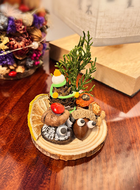 中药儿童diy干花材料手工制作中药文创中药手工diy亲子沙龙活动