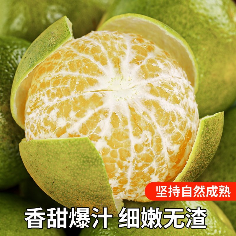 正宗广西皇帝柑新鲜橘子水果当季现摘蜜桔子9斤贡柑甜橘老树大果,淘宝优惠券,粉丝福利购,淘宝优惠卷