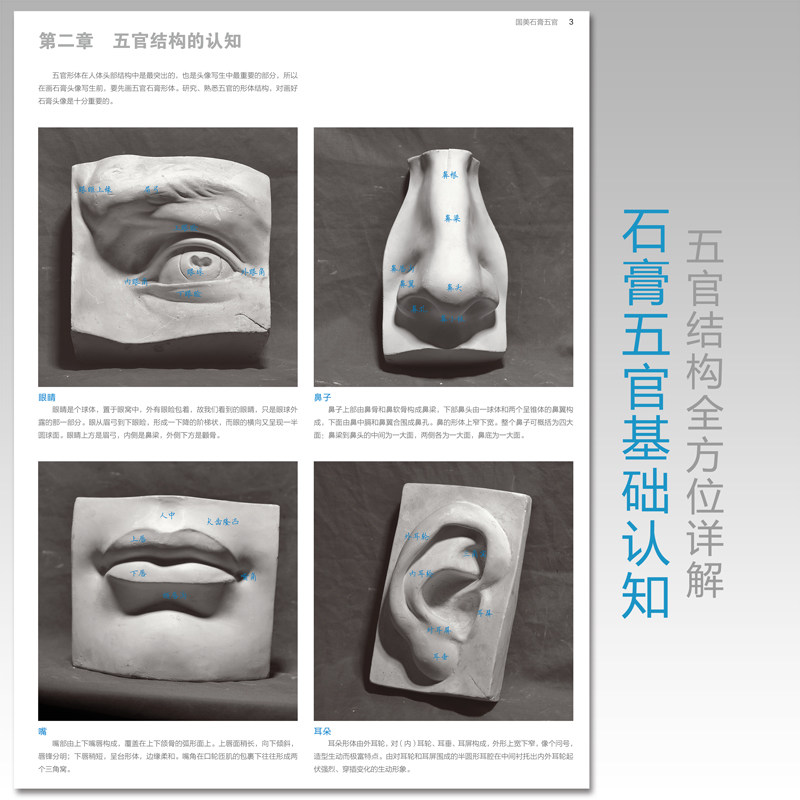 国美石膏五官素描书头像结构临摹范本人物切面像人头美术生对临入门画册临本考级联考明暗照片素材绘画教程解剖亚历山大半面像头部,淘宝优惠券,粉丝福利购,淘宝优惠卷