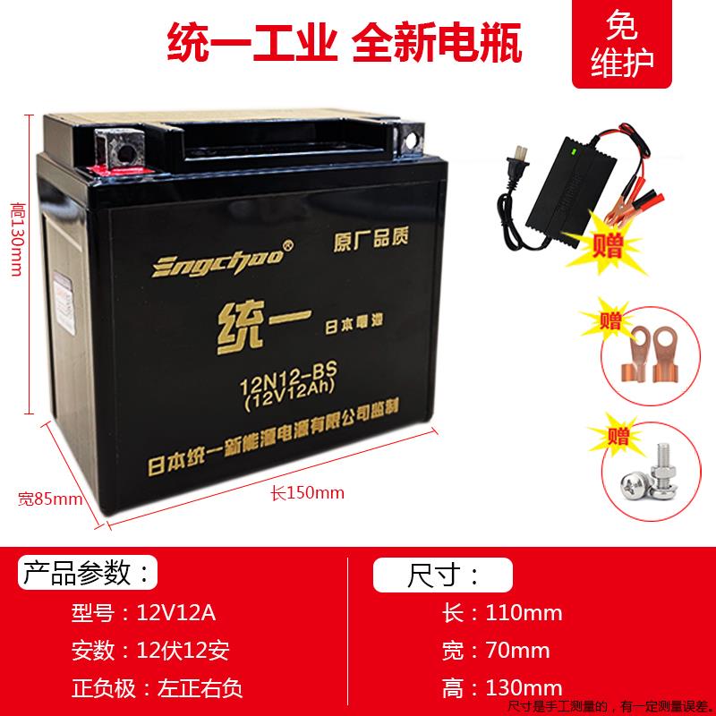 阿普利亚SRMAX250 300 SR300 SR250 SR150比亚乔X7摩托车干电瓶池 - 图1