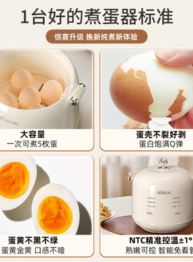 烁宁煮蛋器蒸家用小型神