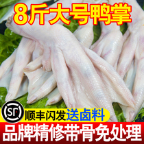 Duck Palm Fresh Wholesale Duck Stock Raw Frozen and duck claw duck feet Commercial whole box 8 catty Barbecue Brine ingredients