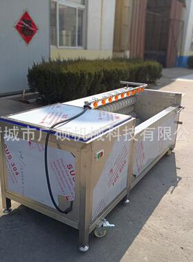商用毛刷土豆清洗去皮机 红薯生姜清洗去皮机 黄精中药材清洗机