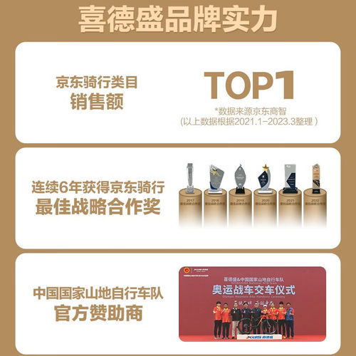 xds喜德盛ad7超轻碳纤维公路车破风气动女成人公路自行车男式赛车 - 图0