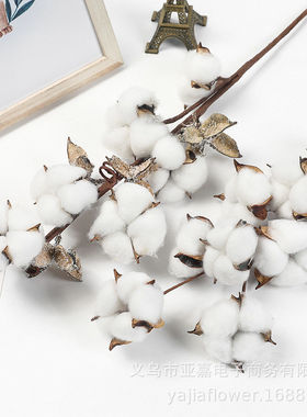 仿真10头棉花花束带枝杆家居花插花装饰木棉花DIY仿真拍摄道具