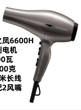 火之凤6600H电吹风机理发店发廊