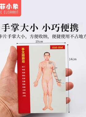 十二经络穴位图速记学习卡人体中医针灸模型教学走向挂12全身部位