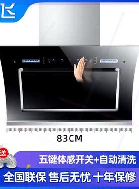 新飞油烟机家用双电机抽油烟机厨房侧吸式自动清洗大吸力吸油烟机