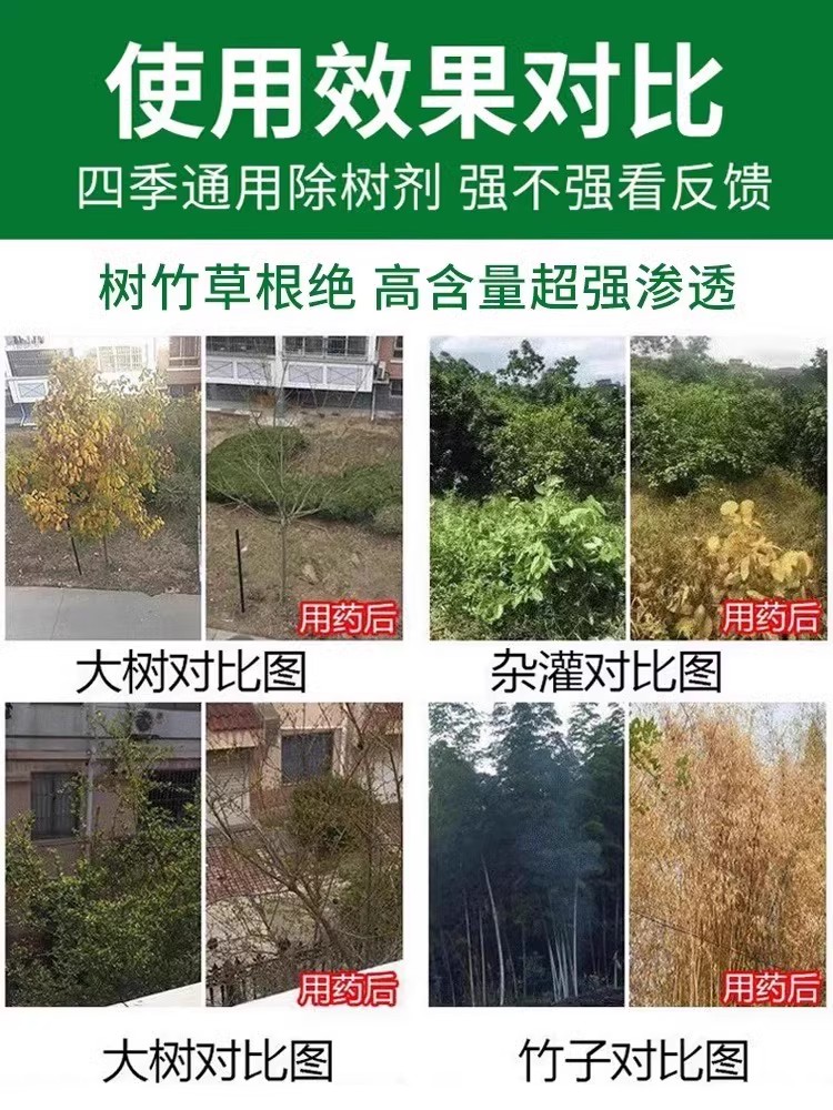 大树烂根药烂树根剂大树除碍事树强力除灌木荒草杂竹一滴自然腐烂 - 图0