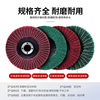 Stainless steel polishing pads with scouring pads for polishing machines