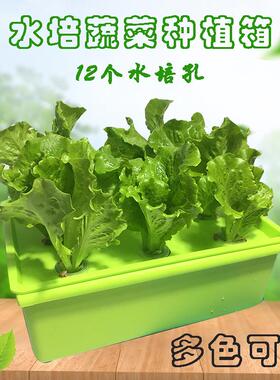 无土栽培蔬菜设备家庭阳台水培种菜机室内自动水耕种植箱塑料花盆