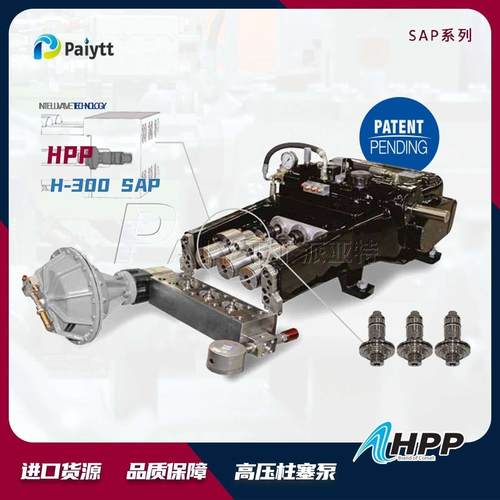 意大利进口 HPP柱塞泵 1400bar SAP系列 H-300 SAP - 图2