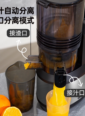 狮威特鲜榨纯果汁不锈钢螺杆榨汁