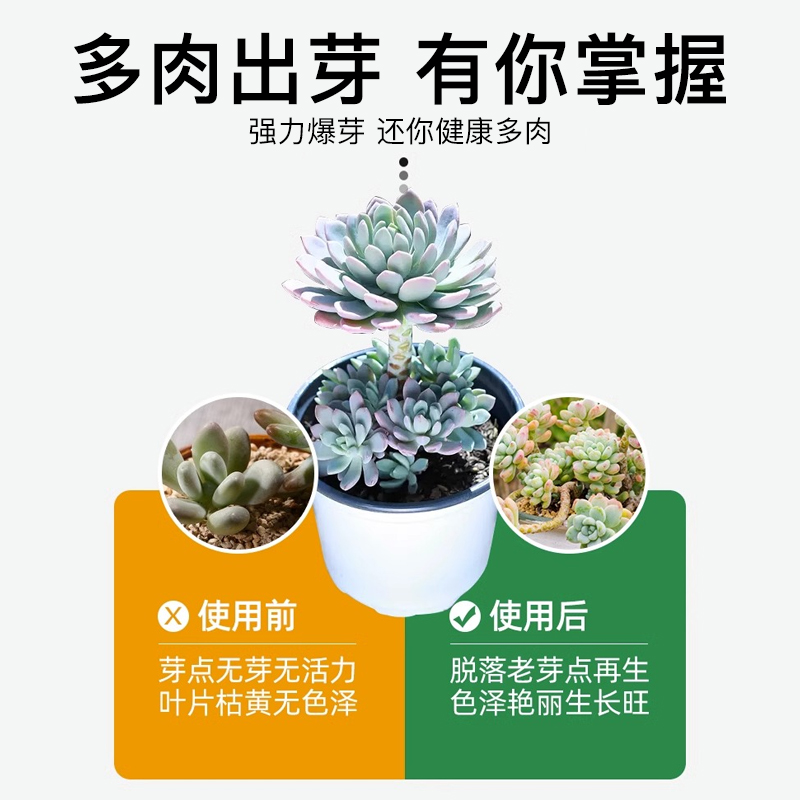 优芽素多肉专用促多头侧芽细胞分裂素促芽促生长催芽矮胖素爆芽素-图2