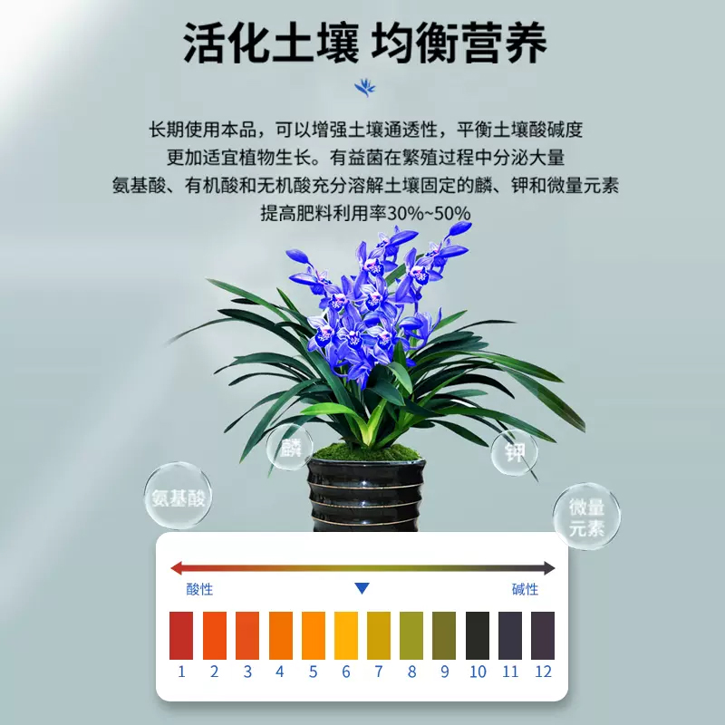 兰灵王兰花专用营养液君子兰肥料EM菌微生物蝴蝶兰墨兰促花兰陵王,淘宝优惠券,粉丝福利购,淘宝优惠卷