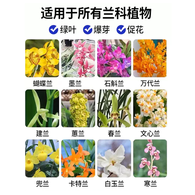 兰灵王兰花专用营养液君子兰肥料EM菌微生物蝴蝶兰墨兰促花兰陵王 - 图2