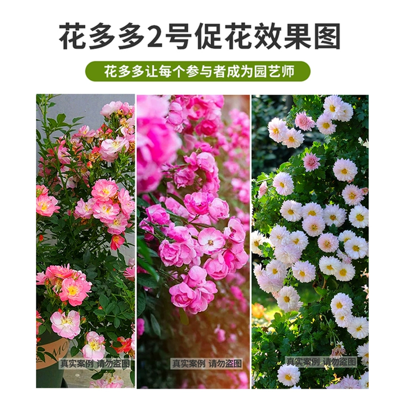 花多多2号1号通用型促花肥家用花卉10号12号催花肥复合花水溶肥料_沃邦园艺_鲜花速递/花卉仿真/绿植园艺-第5张图片-提都小院