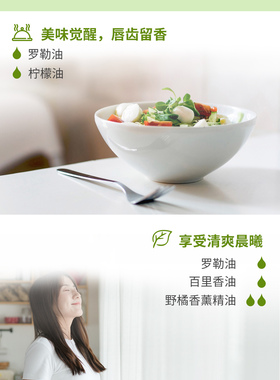 多特瑞美国肌肉酸痛罗勒精油