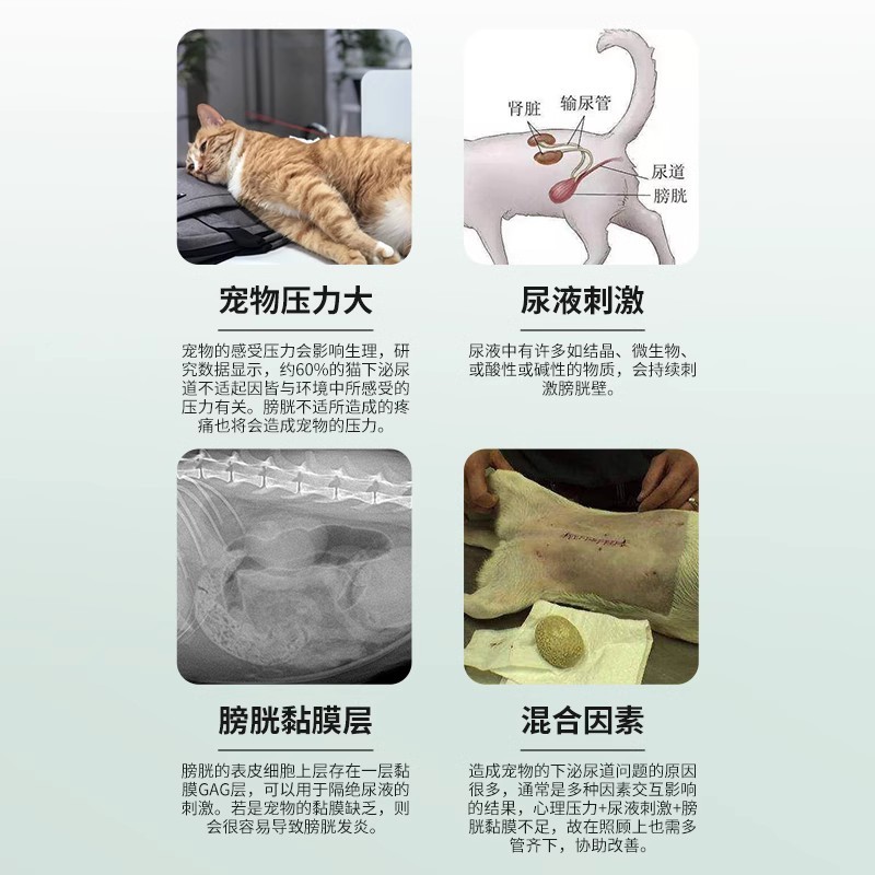 宠物利尿通猫尿血猫咪泌尿系统药尿闭尿利通狗狗尿路感染尿道炎症 - 图0